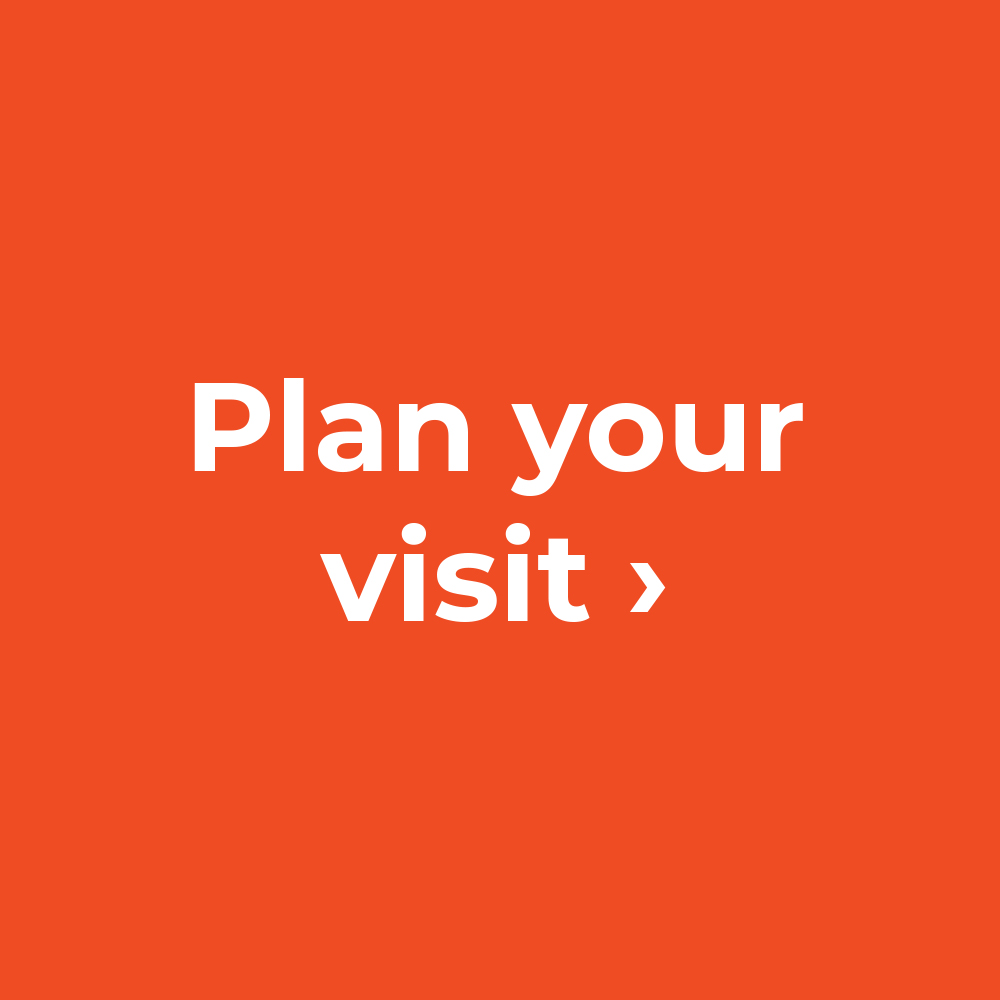 Plan your visit >